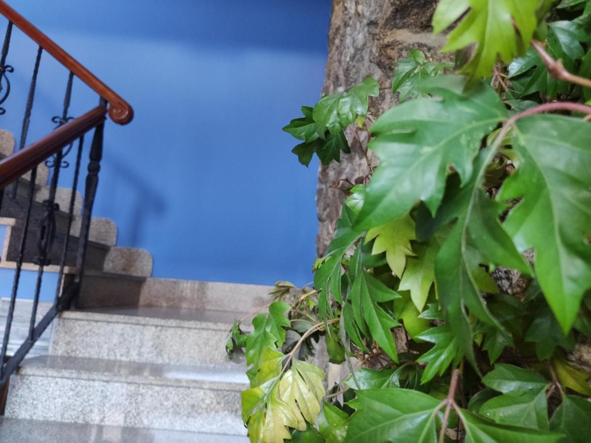 Albergue O Logoso Campelo Luaran gambar